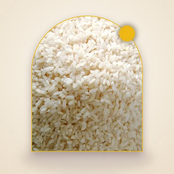 Seeragasamba Raw Rice