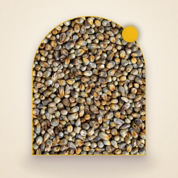 Native Pearl Millet