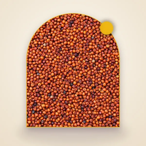 Finger Millet