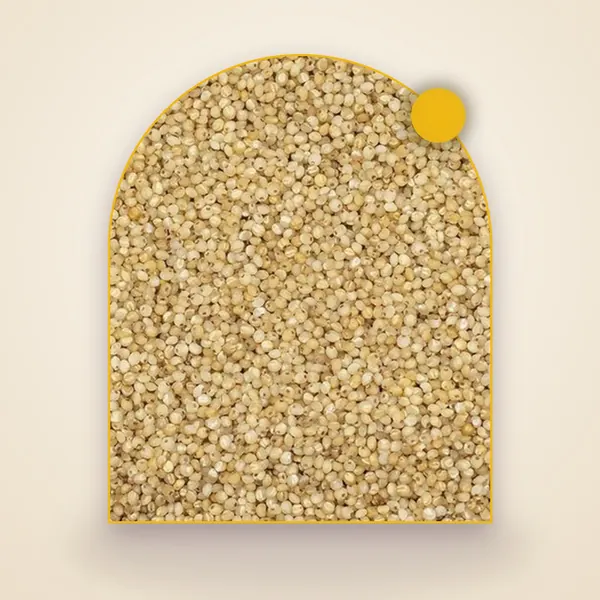 Little Millet