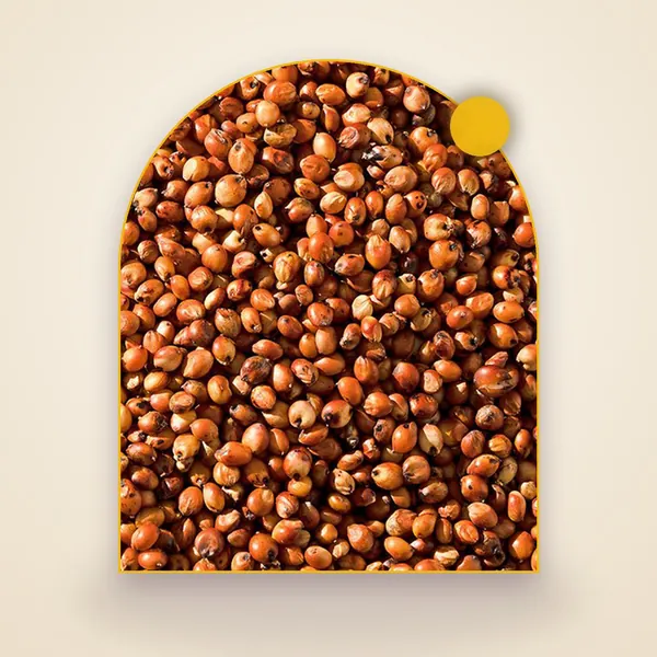 Red Sorghum