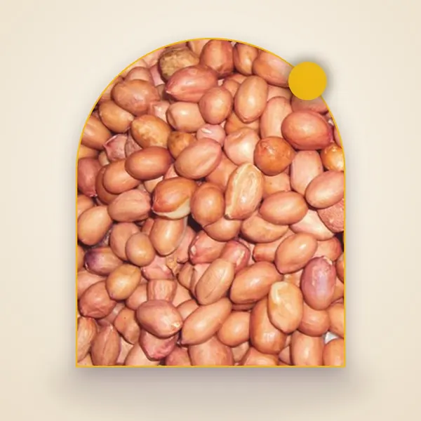 Groundnut