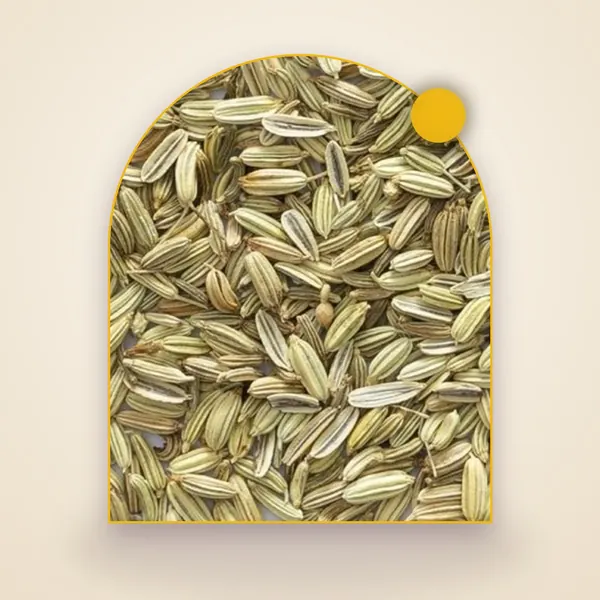 Fennel