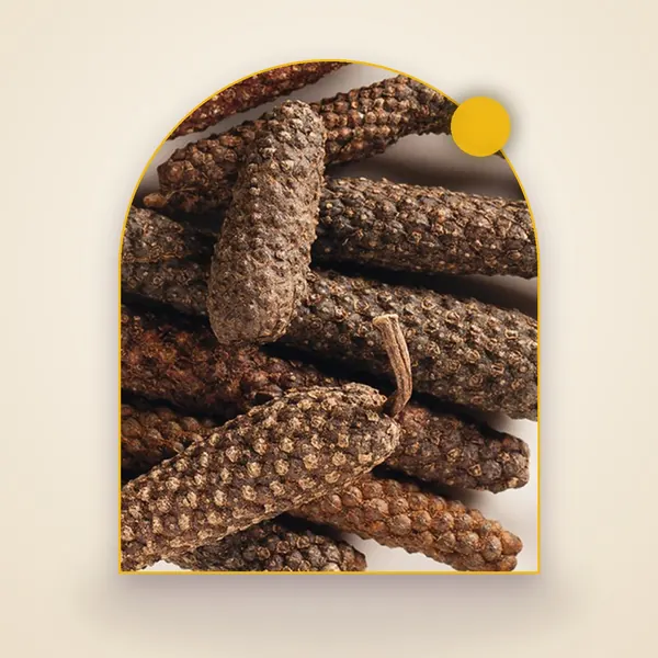 Long Pepper