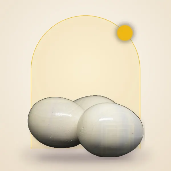 Wooden Egg